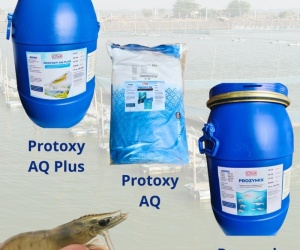 Enzyme Ấn Độ - chất xúc tác sinh học cải thiện môi trường ao nuôi và hỗ trợ tiêu hóa