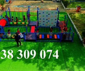 Bộ vận động thể chất đa năng, thang leo vận động thể chất