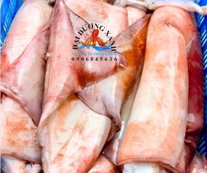 Mực Lá Đại Dương Khổng Lồ, Hải Sản Cao Cấp Được Ưa Chuộng