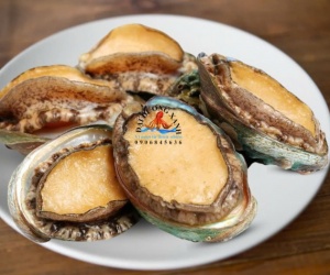 Cách Phân Biệt Bào Ngư Hàn Quốc Chất Lượng Cao