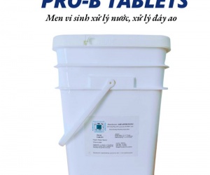 Vi Sinh Viên PRO-B TABLETS Men vi sinh xử lý nước, xử lý đáy ao – Hiệu quả cao – An toàn cho tôm cá