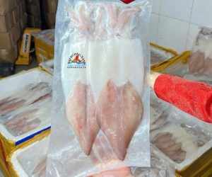 Cách Nhận Biết Mực 1 Nắng Phan Thiết Chính Hiệu Chuẩn Đặc Sản