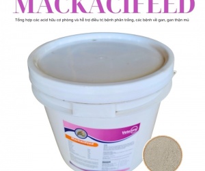 ACID HỮU CƠ MACKACIFEED - Acid Hữu Cơ Tổng Hợp - Phòng Ngừa Điều Trị Phân Trắng