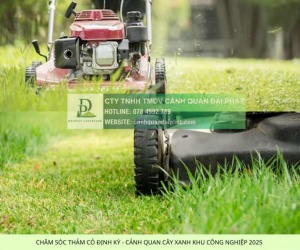 Báo giá cho thuê nhân công chăm sóc cây xanh mới nhất 2026