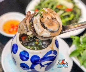 Thố Mắt Cá Ngừ Đại Dương Hầm 