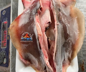 Cá Đuối Phi Lê – Giải Pháp Tiện Lợi Cho Người Bận Rộn