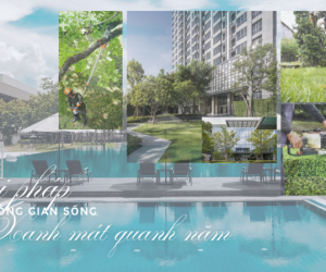 Chăm Sóc Cảnh Quan Chung Cư Cao Cấp Tại TP.HCM & Đồng Nai