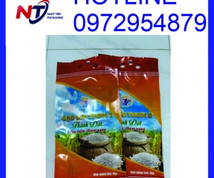 Túi đựng gạo 5kg PA/PE, túi gạo 5kg in ống đồng giá rẻ