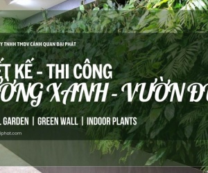 Dịch Vụ Thiết Kế & Thi Công Tường Xanh – Vườn Đứng Chuyên Nghiệp
