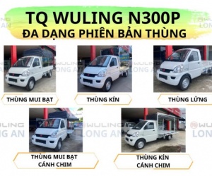 Xe tải TQ Wuling N300P dòng xe tải nhỏ phân khúc 1 tấn
