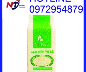 Bao bì gạo 1kg PA/PE, túi đựng gạo 1kg, chuyên in túi gạo 1kg