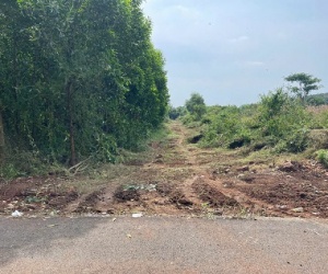 Bán 7692 m² đất xã Long Tân, Đất Đỏ, Bà Rịa – Vũng Tàu giá 3 tỷ/sào