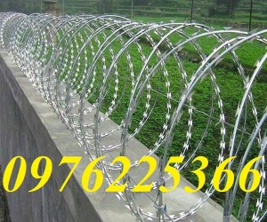 Dây thép gai inox 304 đường kính D30, D45, D50, D60, D80