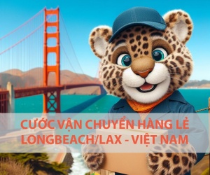 Giá cước vận chuyển hàng lẻ từ Longbeach về Việt Nam