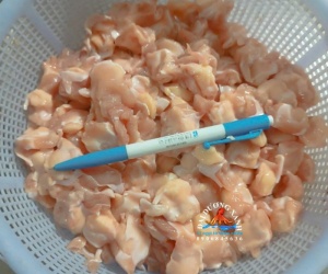 Cung Cấp Sụn Gà