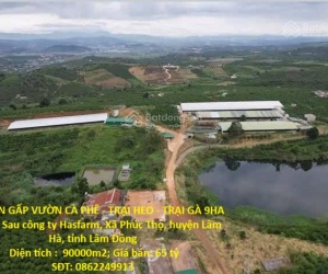 ĐẤT  ĐẸP- GIÁ TỐT- CẦN BÁN NHANH ĐẤT tại Xã Phúc Thọ, Lâm Hà, Lâm Đồng