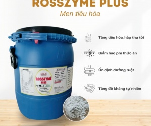 MEN TIÊU HÓA ROSSZYME PLUS