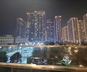 Chính chủ cho thuê căn hộ Masteries Ocenpark 2N2WC full đồ view công viên