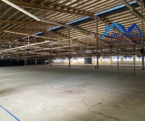 Cho thuê xưởng 6600m2 Khu công nghiệp Nhơn Trạch, Đồng Nai giá 4,2ud/m2