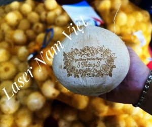 KHẮC LASER LÊN TRÁI DỪA - QUÀ TẶNG SỰ KIỆN - KHAI TRƯƠNG 