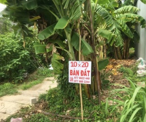 ĐẦU TƯ SINH LỜI - Bán GẤP Lô Đất Tiềm Năng Tại xã Mỹ An-huyện Mang Thit-Tỉnh Vĩnh Long