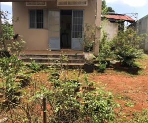 CHÍNH CHỦ BÁN ĐẤT CÓ NHÀ – ĐẤT FULL CÀ PHÊ ĐANG THU HOẠCH – LỘC ĐỨC - BẢO LÂM