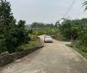 ► ĐẤT ĐẸP TÂN AN – CƯƠNG SƠN – LỤC NAM GIÁ CHỈ 480 TRIỆU