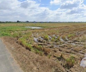 840tr đất mặt tiền đường nhựa 3m tại Bình Ân