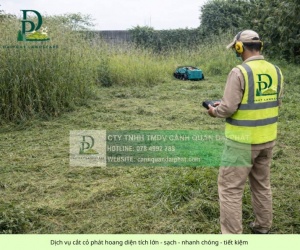 Dịch vụ cắt cỏ phát hoang diện tích lớn giá cạnh tranh miền Nam