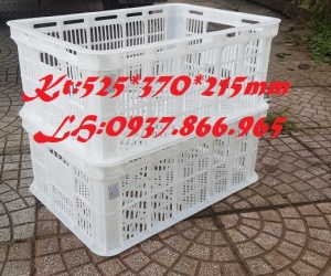 Sóng hở( sọt nguyên sinh), khay nhựa rỗng