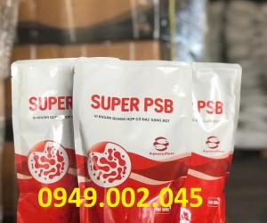 SUPER PSB Rhodo – Vi Khuẩn Quang Hợp Xử Lý Nước, Giảm Khí Độc & Ổn Định Ao Nuôi Tôm Cá