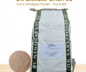 YUCCA BỘT MỸ – DK SARSAPONIN 30 HẤP THỤ KHÍ ĐỘC - NGUYÊN LIỆU THỦY SẢN