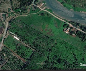 Bán đất giá tốt – Diện tích lớn, phù hợp đầu tư và làm vườn tại Bến Cát, Bình Dương