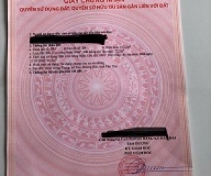 ► CHÍNH CHỦ BÁN ĐẤT TAM DƯƠNG – VỊ TRÍ ĐẸP – GIÁ CỰC MỀM – CHỐT NHANH TRONG NGÀY