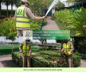Dịch Vụ Bảo Dưỡng Cảnh Quan Định Kỳ Tại Đồng Nai Uy Tín Giá Hợp Lý