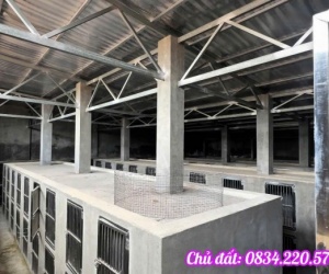 BÁN LỖ HƠN 1 TỶ – NHÀ KHO 1.073M² GẦN VÀNH ĐAI 4 – CỦ CHI – GIÁ 5,6 TỶ (TL)
