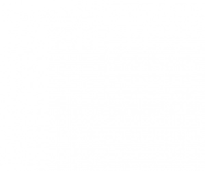 Danh Sách Hàng Hóa Thuộc Diện Kiểm Dịch Động Vật