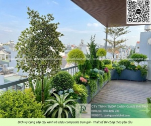 THI CÔNG CHẬU COMPOSITE SÂN VƯỜN GIÁ RẺ TP.HCM – CUNG CẤP CÂY CẢNH TRỌN GÓI