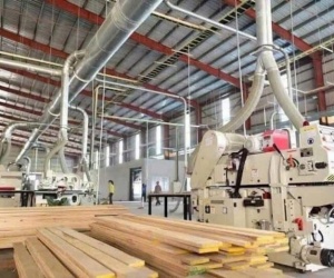 CHUYỂN NHƯỢNG NHÀ XƯỞNG CỤM CN HÓC MÔN – 4.000M² – PHÁP LÝ CHUẨN – GIÁ 33 TỶ