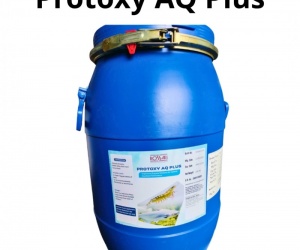 PROTOXY AQ PLUS – Enzyme Protease Ấn Độ Hỗ Trợ Tiêu Hóa, Tăng Trưởng Tôm Cá