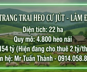 Siêu Trang Trại Heo 22ha - Thu Nhập cho thuê 24 Tỷ/Năm