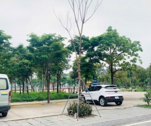 ĐẤT ĐẸP - GIÁ TỐT - CẦN BÁN NHANH LÔ ĐẤT VỊ TRÍ ĐẮC ĐỊA TẠI Huyện Đông Anh, Tp Hà Nội