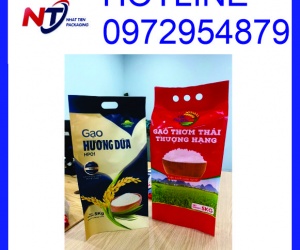 Chuyên sản xuất túi PA/PE đựng gạo 5kg giá rẻ, in đẹp