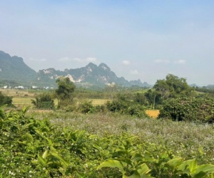 Đất Cao Phong Giá SỐC Chỉ Dưới 1 Triệu/m² Sở Hữu 6000m² View Cánh Đồng cách QL6 chưa đến 1km