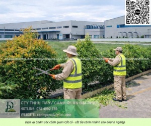Dịch vụ chăm sóc cây xanh công ty nhà xưởng khu công nghệ cao Thủ Đức