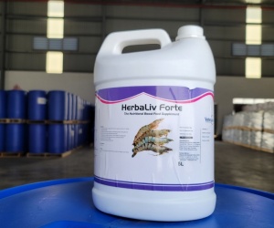 Herbaliv Forte – Hỗ Trợ Gan Ruột Tôm Cá Thủy Sản