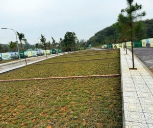 SIÊU PHẨM ĐẦU TƯ FO PHÚ CÁT SÁT CHỢ LONG PHÚ ĐÓN SÓNG QL21 METRO 05 100M NHỈNH 2TỶ