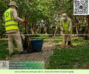 CHĂM SÓC CÂY XANH CÔNG TY – NHÀ XƯỞNG KCN BIÊN HÒA 1, BIÊN HÒA 2 ĐỒNG NAI