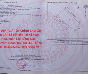 ĐẤT ĐẸP - GIÁ TỐT CHÍNH CHỦ Cần  Bán GẤP Lô đất 4ha Tại Xã Xuân Hoà, Xuân Lộc- Đồng Nai