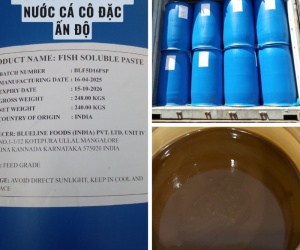 Dịch Cá Cô Đặc Fish Soluble Extract – Đạm Cá Ngừ Chiết Xuất Từ Cá